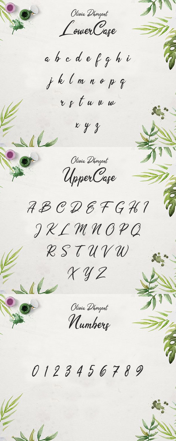 Olivia Dhorgent Script Free Font Letters