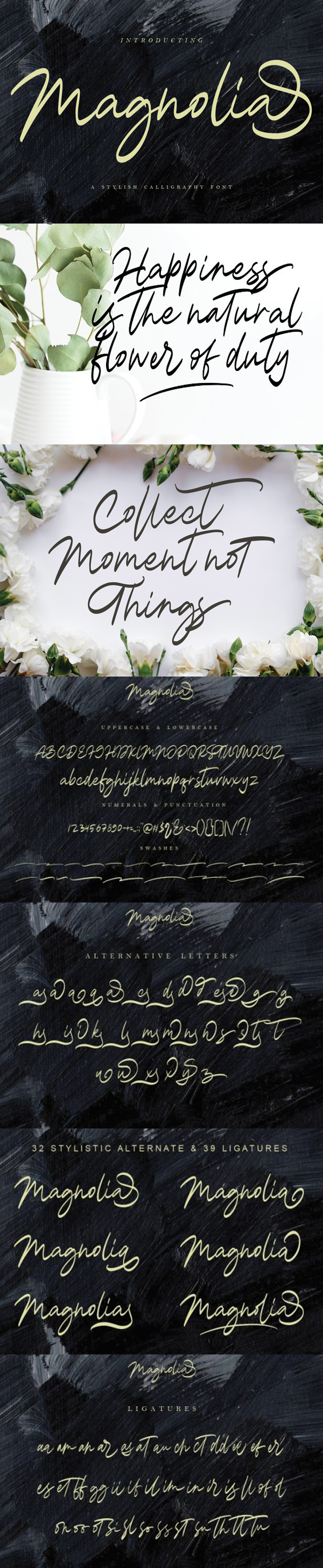 Magnolia Calligraphy Free Font Design