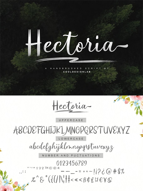 Hectoria Script Font Design