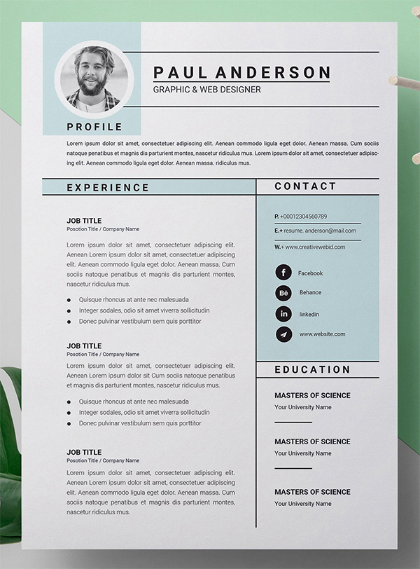 Microsoft Word Resume / CV