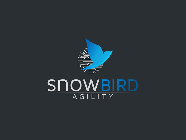 Snow Bird Logo Design