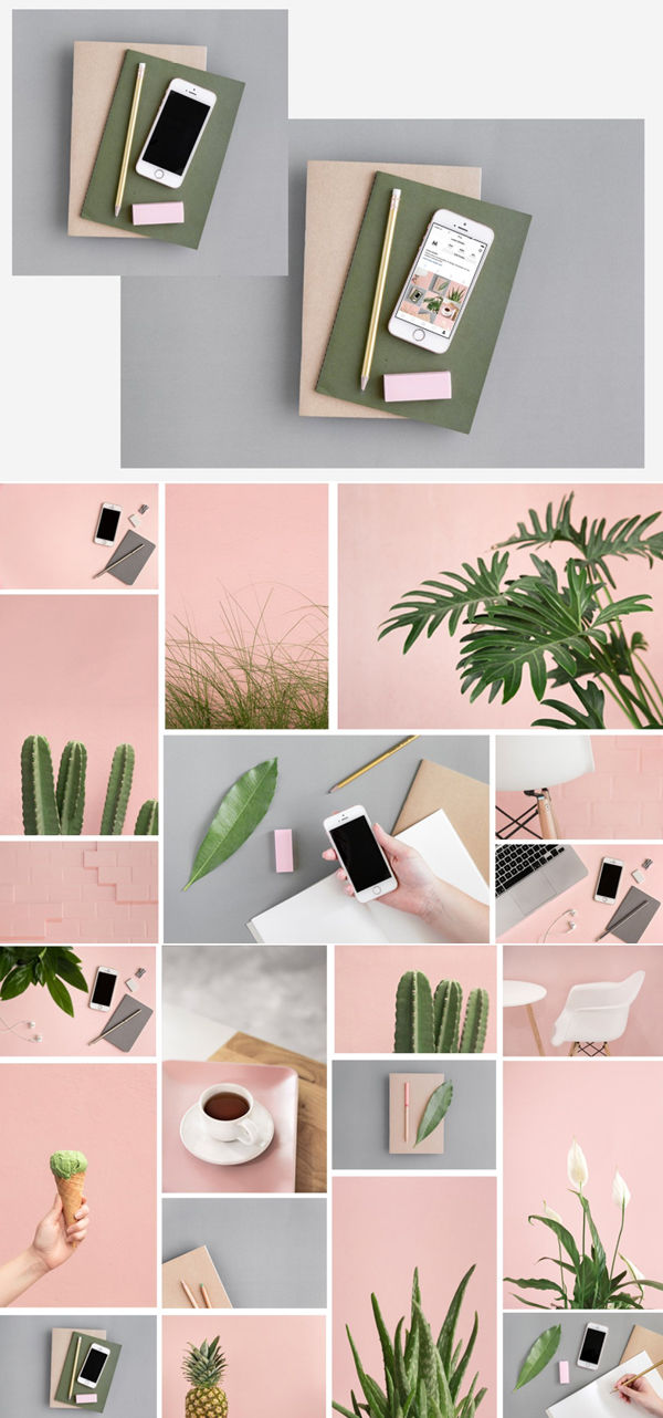 Pink   Botanical Stock Photo Bundle
