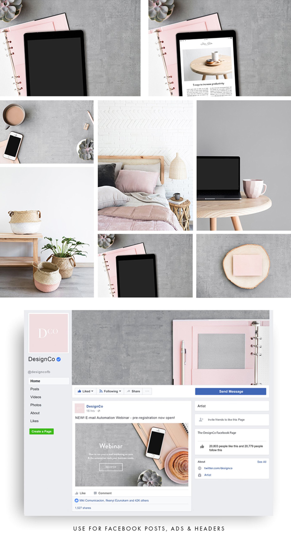 The Pink Collection Photo Bundle