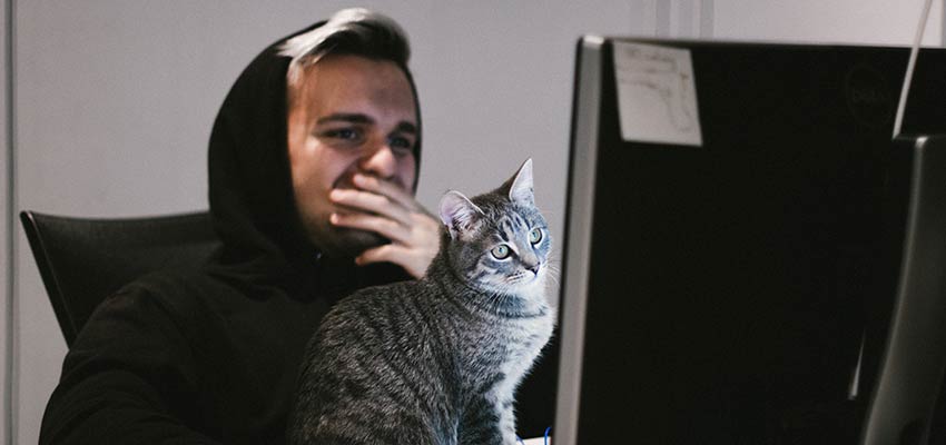 Man looking at a computer screen with a cat.