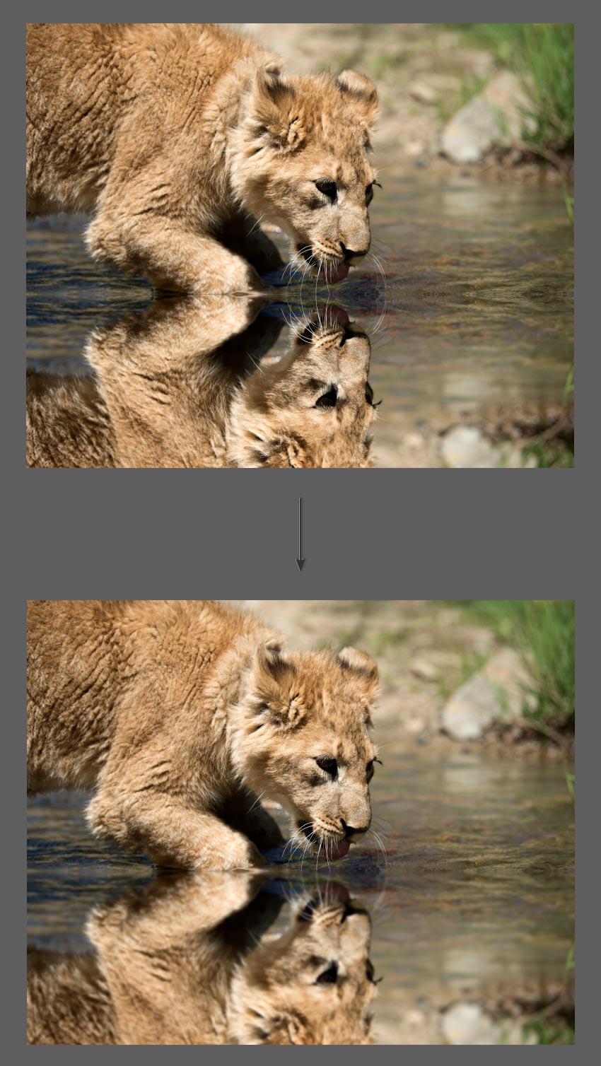 how-to-mirror-an-image-in-photoshop-idevie