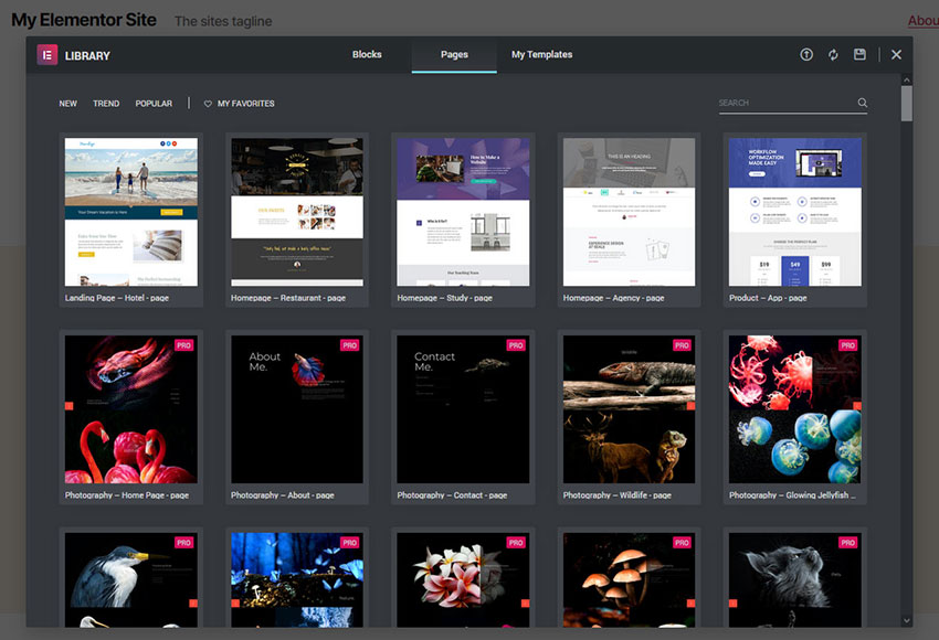 How To Use Elementor Templates A 101 Intro IDevie
