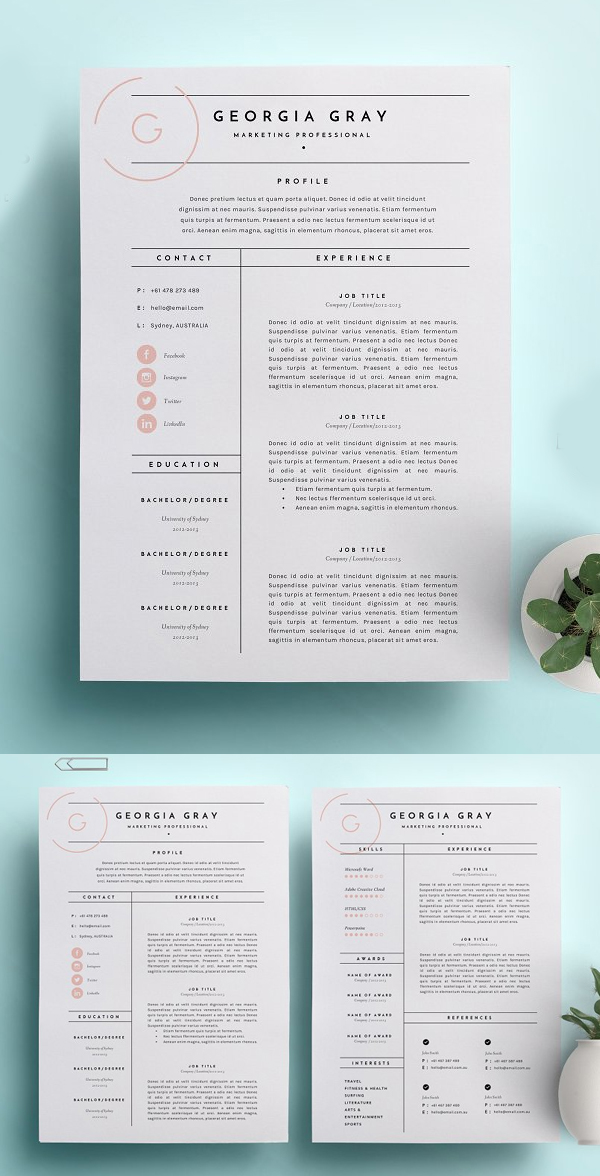 Resume Template 3 Page