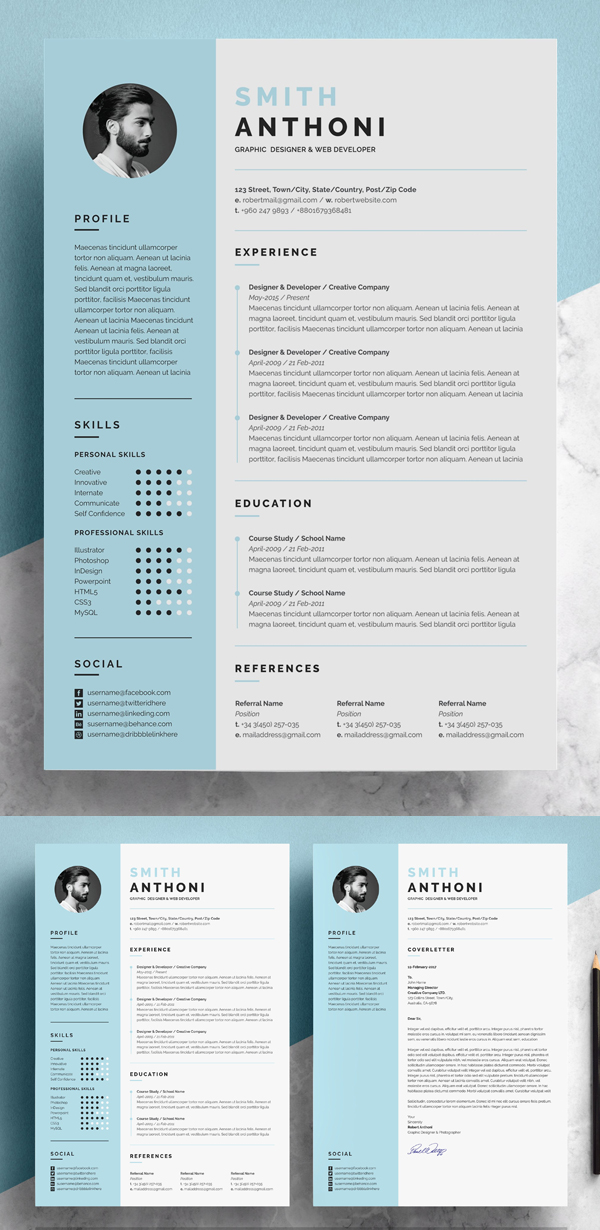 Clean Resume 2 Pages