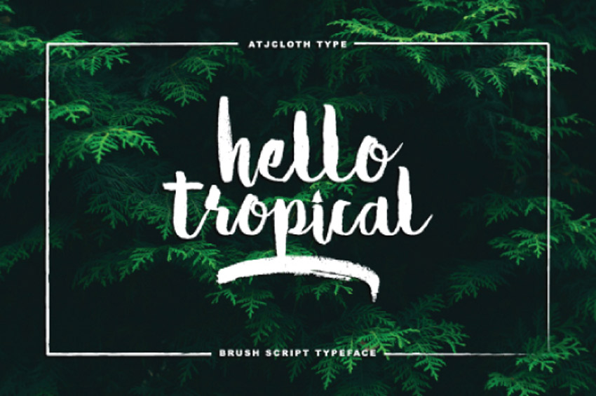 Hello Tropical 