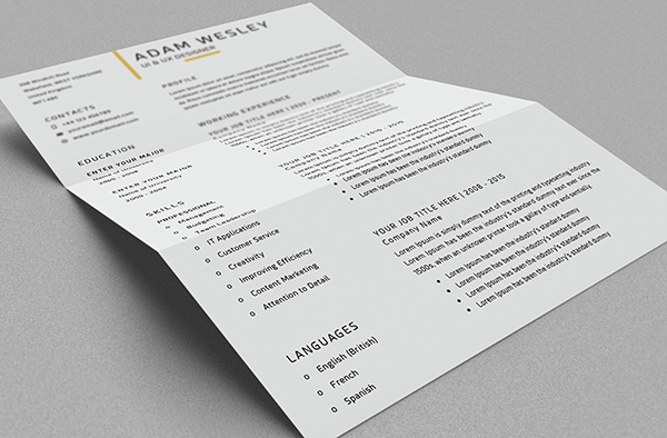 Free Resume Template Mockup View