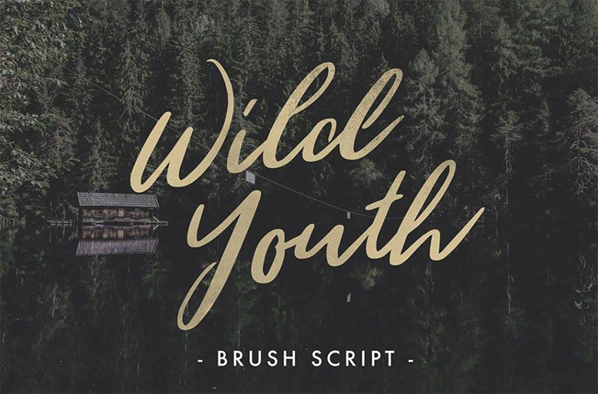 Wild Youth Signature Script Font Free Download