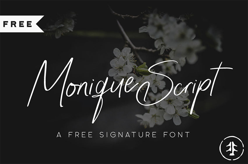Monique Elegant Signature Font