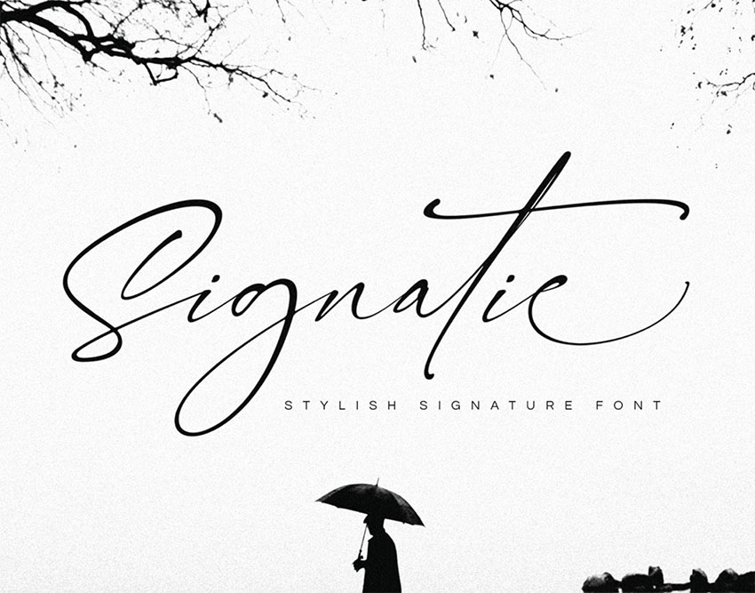 FREE  Signatie Signature Type Fonts