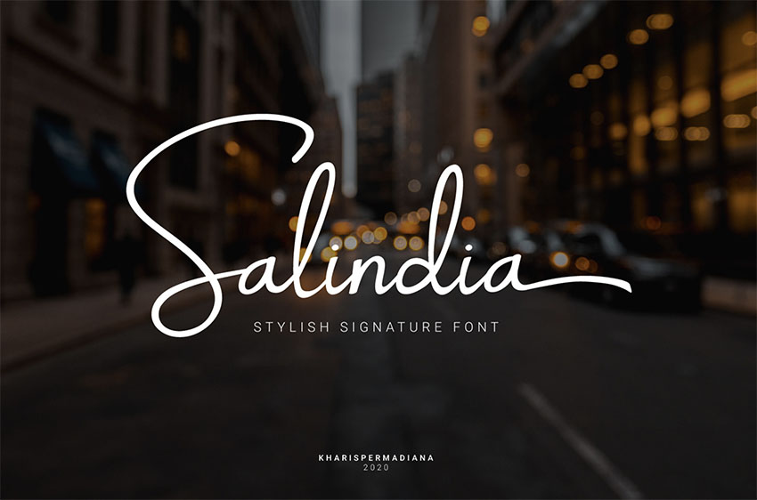 Salindia - Fancy Signature Font Download 