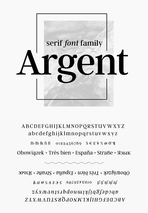 Expressive Serif Font