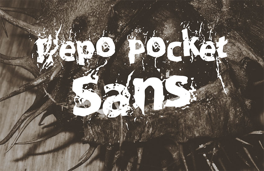 Repo Pocket Sans Free
