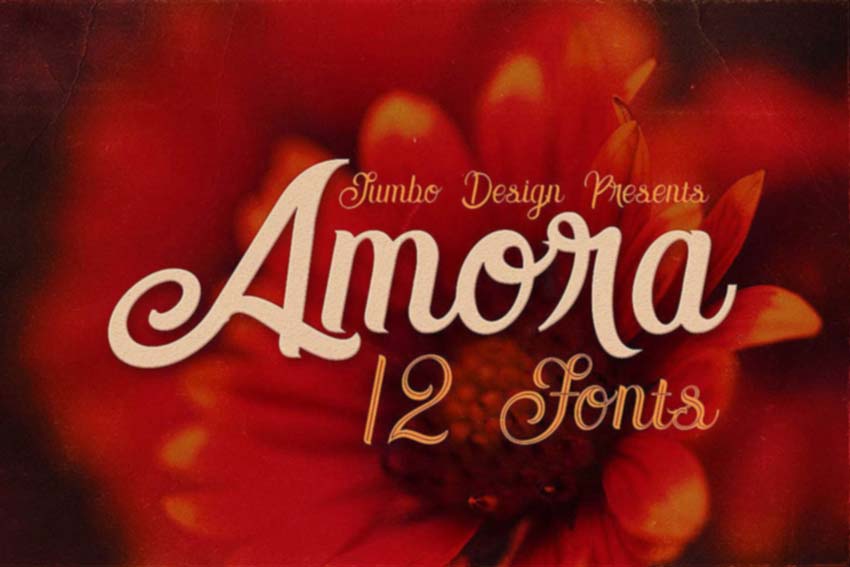 Amora Font Collection