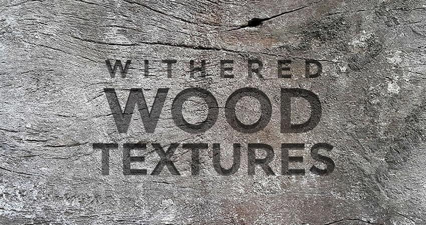 Withered Wood free high-res textures