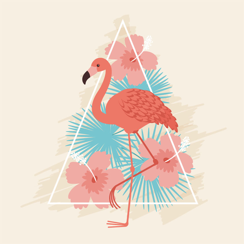 How to Use Brushes in Adobe Illustrator to Create a Colorful Flamingo 