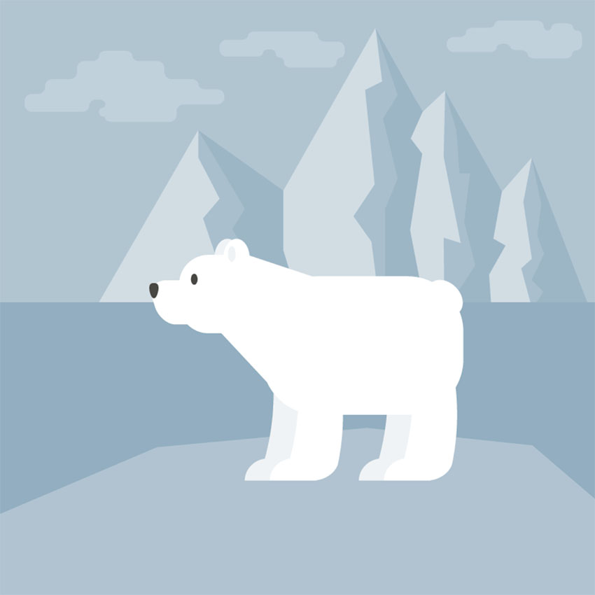 How to Create a Polar Bear Illustration in Adobe Illustrator