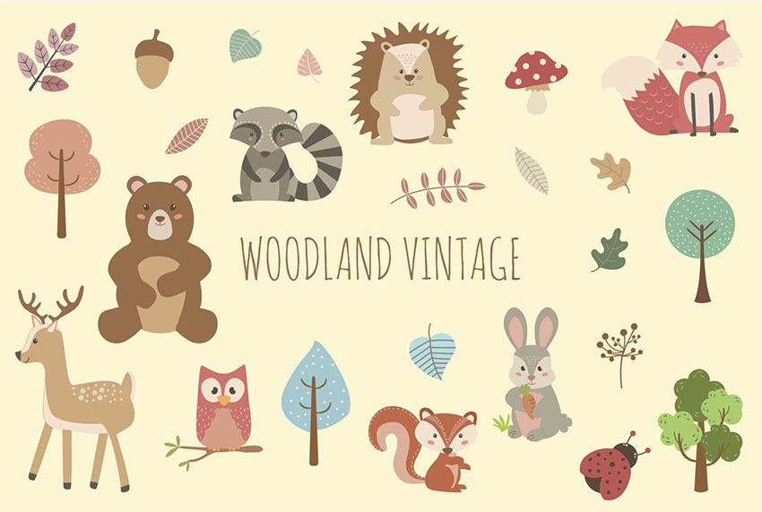 Vintage Animal Illustrations