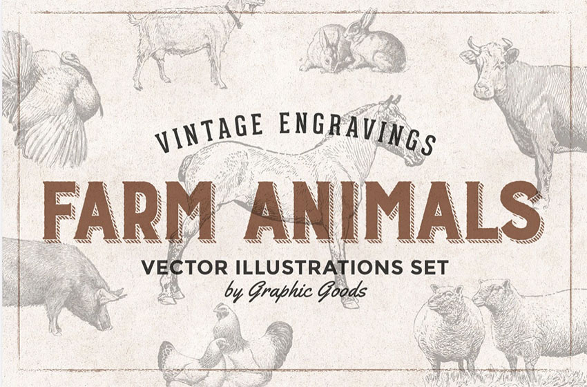Vintage Animal Illustrations - Engraving