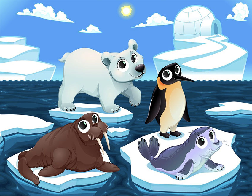 Cute Animals Illustrations on the Ice