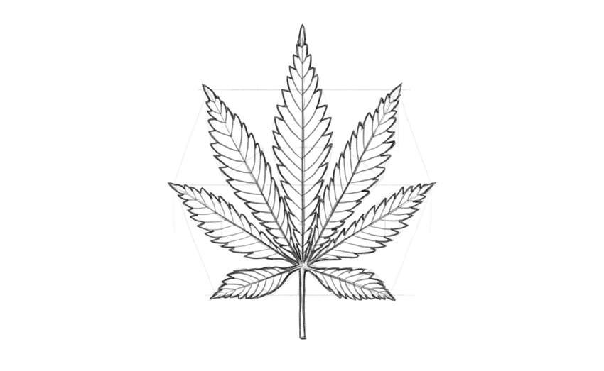 step by step pot leaf drawing