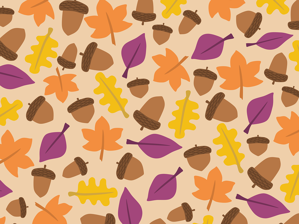 Acorn, Autumn, Background, Boxes, Fall, Leaf, Leaves