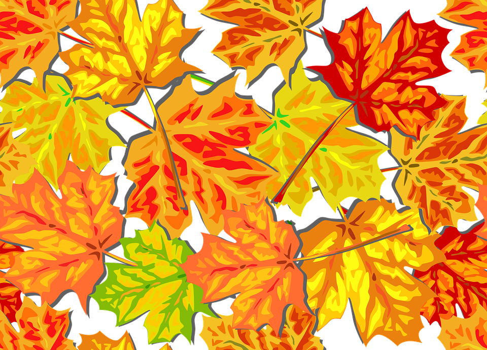 Autumn, Foliage, Fall, Leaves, Maple, Tile, Background