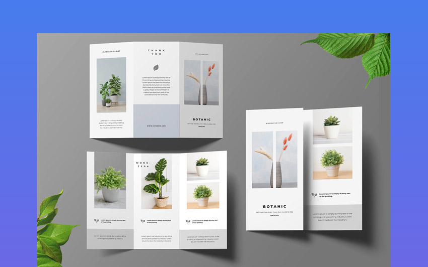 Botanical Trifold Brochure