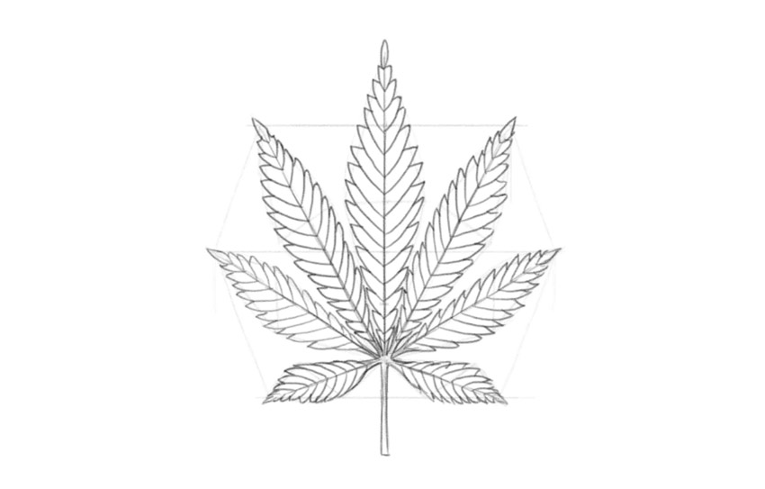 How to Draw a Pot Leaf iDevie