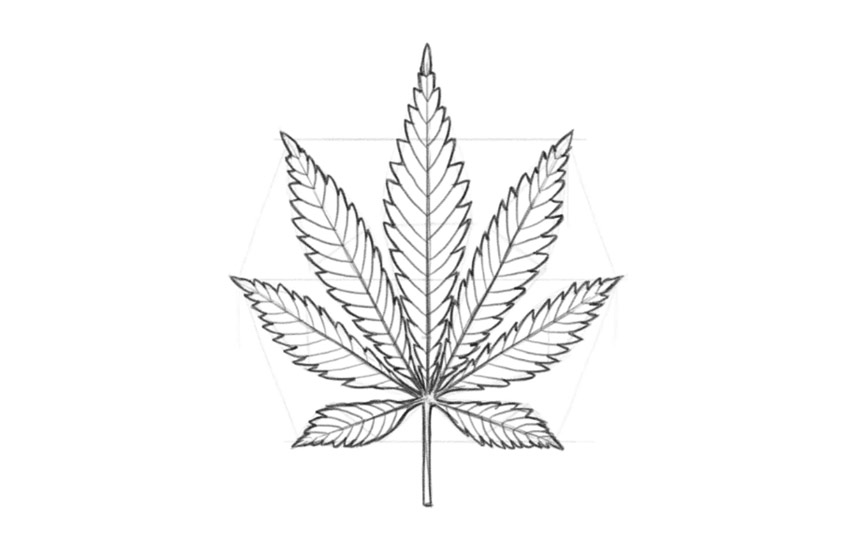 How to Draw a Pot Leaf - iDevie