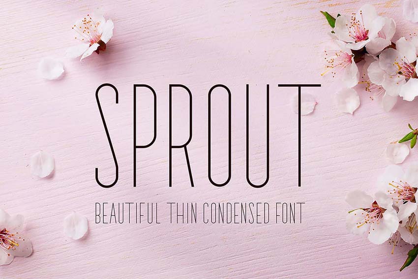 Sprout Thin Modern Fonts San Serif