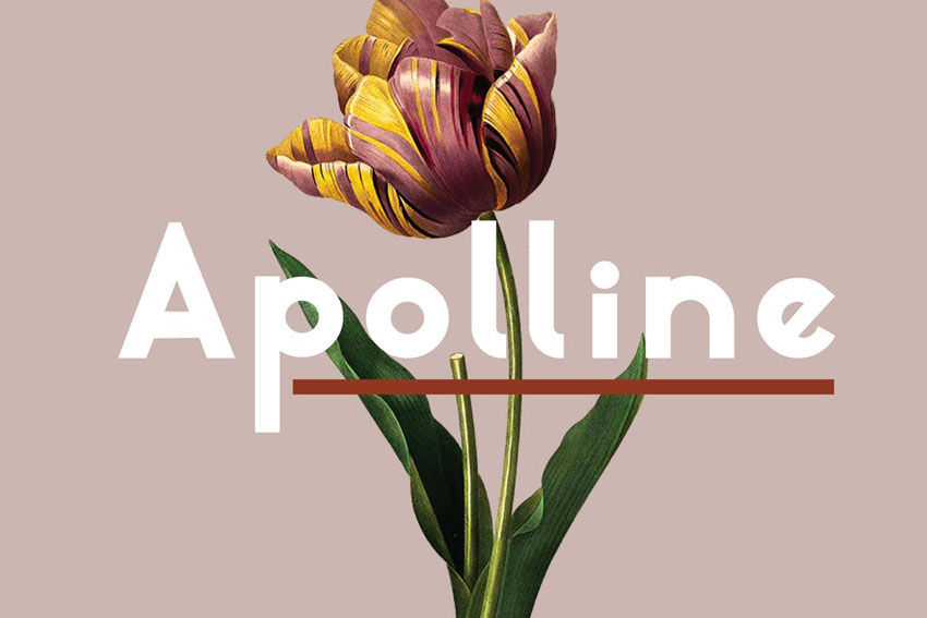 Apolline Modern Sleek Fonts Sans Serif