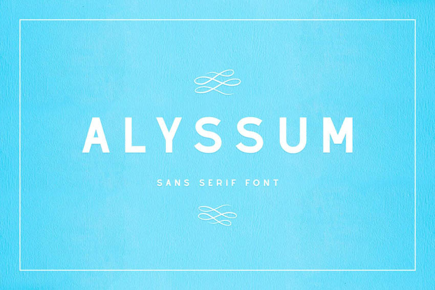 Alyssum Simple Modern Fonts