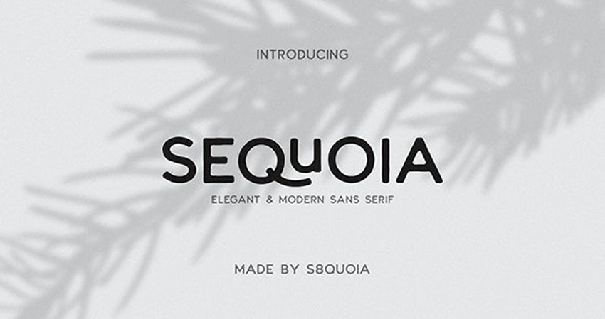 Sequoia Modern Elegant Fonts