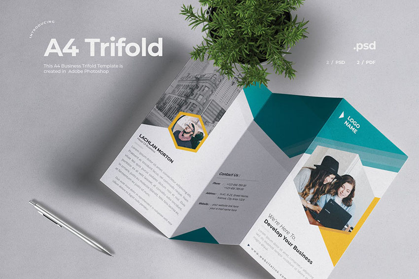 Tri Fold Brochure template