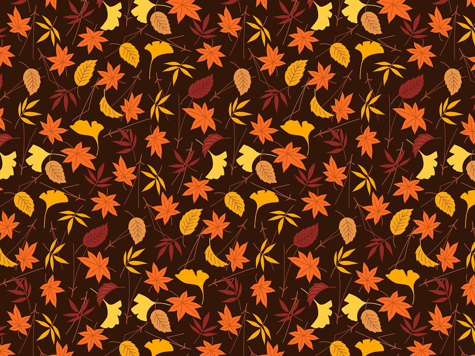 Thanksgiving, Ginko, Maple, Leaf, Leaves, Autumn