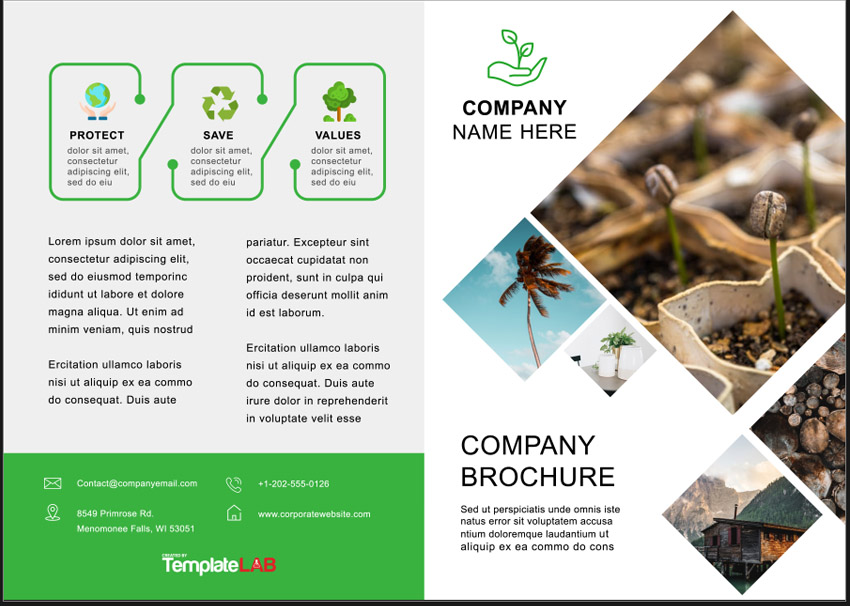 Bifold Brochure template