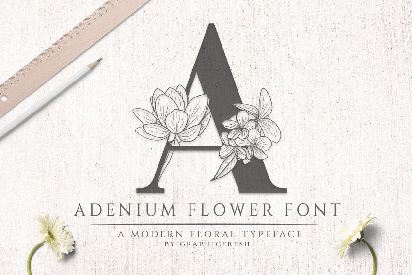 adenium font