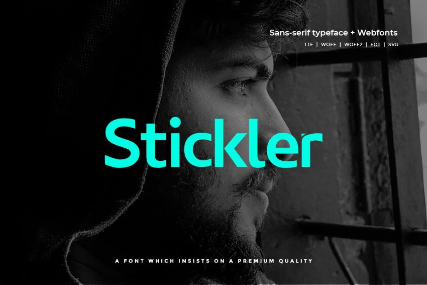 stickler