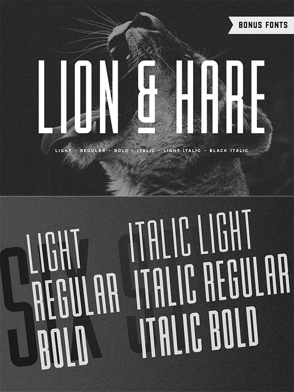 Lion & Hare Fon