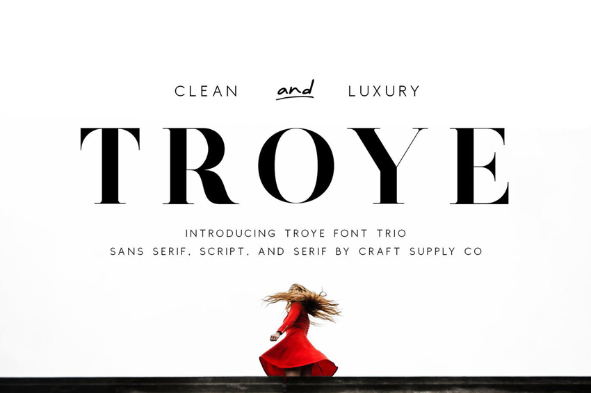 Troye Font Trio - Clean  Luxury Fonts Similar to Didot