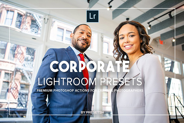 Corporate Lightroom Presets