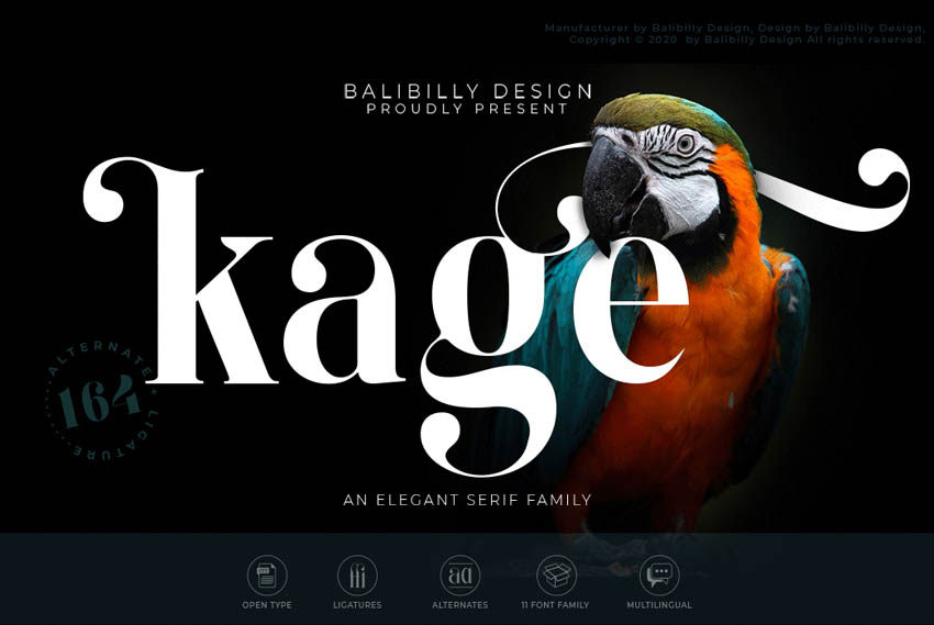 Kage An Elegant Serif Typeface Flourish Didot Typeface