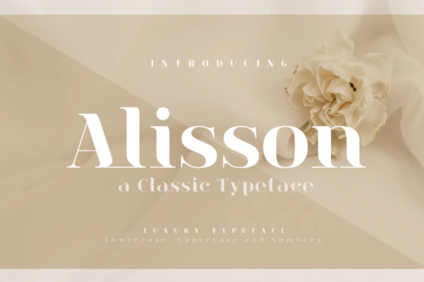 Alisson Elegant Font Bodoni Typeface Inspiration