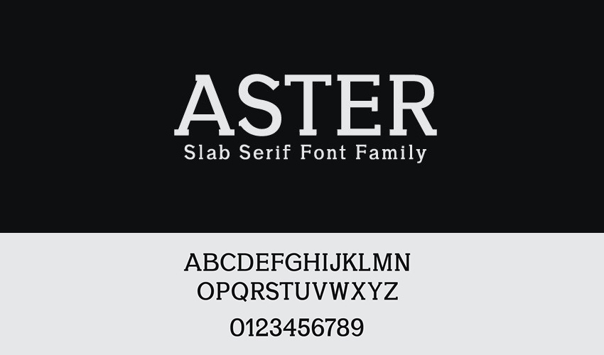 Aster Slab Serif Font Family