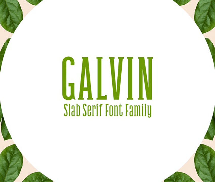 Galvin Slab Serif Font Family Pack