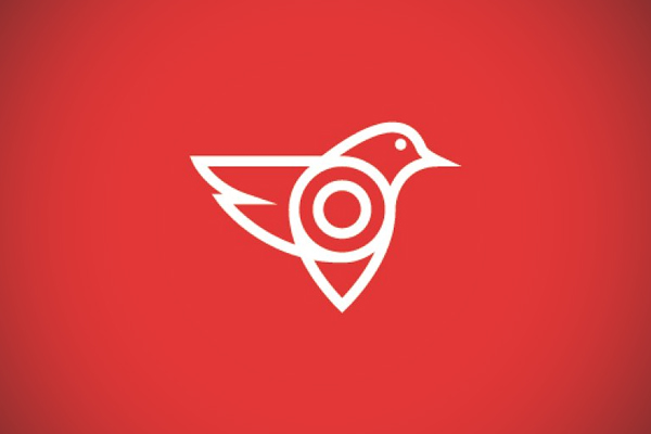 Pin Bird App Logo